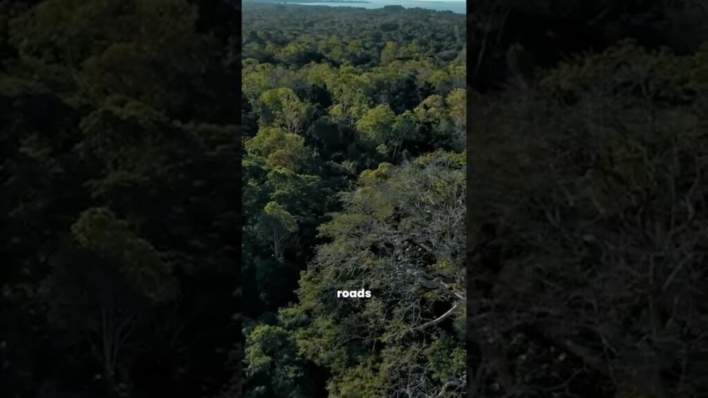 Here’s what it’s actually like to get lost in the amazon rainforest...